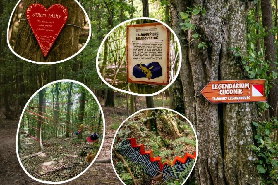 Objektívom: Tajomný les Krakovec je novinkou pre turistov