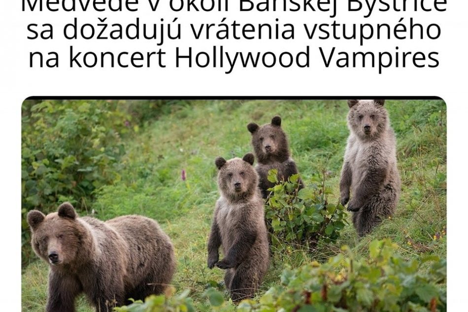 Internet sa baví na zrušenom koncerte Hollywood Vampires
