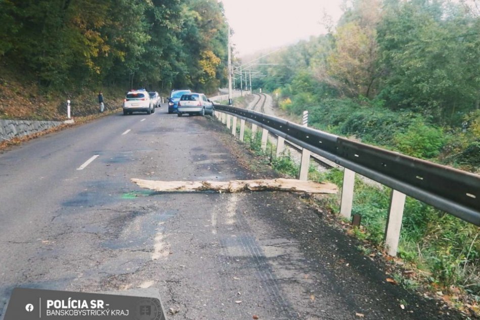 V OBRAZOCH: Na jazdiace auto spadol strom