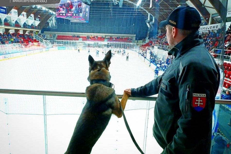 Na hokejových fanúšikov dozeral policajný pes Kiko