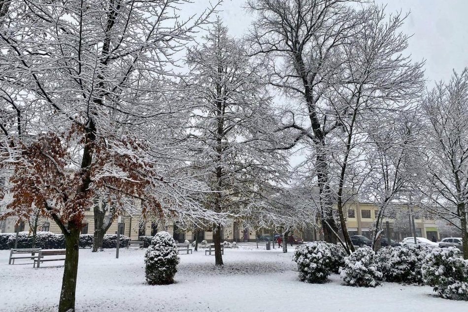 V OBRAZOCH: Novembrová snehová nádielka odela Zvolen do bielej