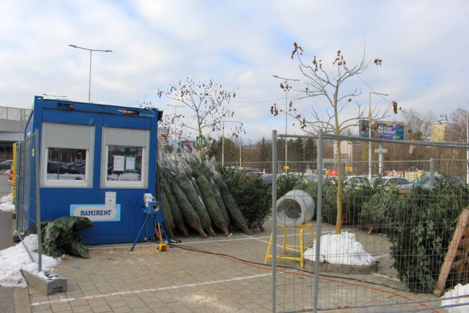 V OBRAZOCH: Predajcovia vianočných stromčekov v Bystrici