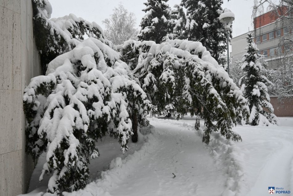 Objektívom: Kalamitná situácia v Poprade, sneh láme stromy