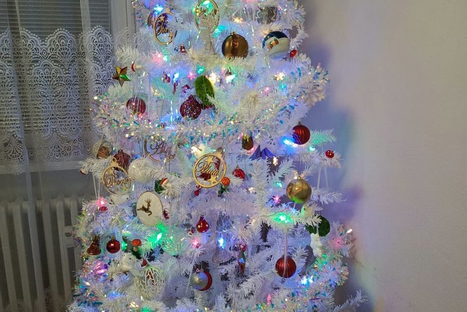 Vianoce sú za dverami: Takéto krásne stromčeky majú doma Trnavčania, FOTO