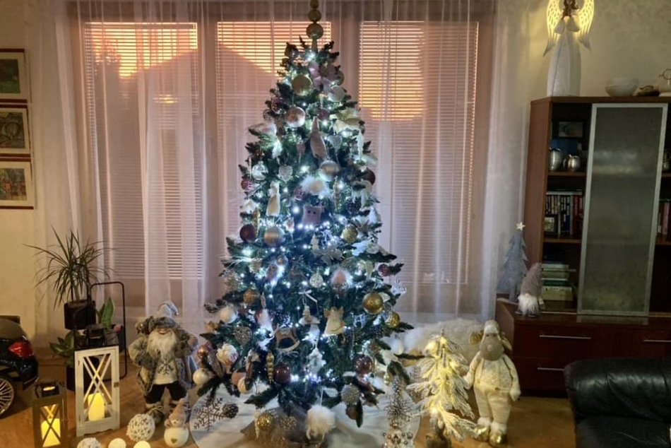 OBRAZOM: Vianočné stromčeky, ktoré zdobia príbytky Slovákov