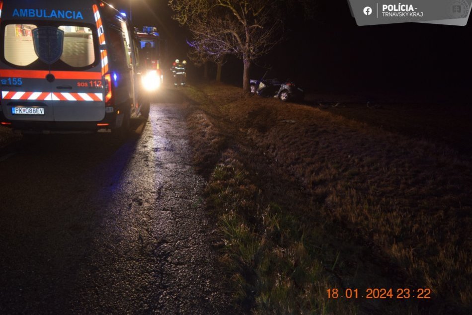 Tragická nehoda na juhu Slovenska: Mladý vodič zahynul po náraze do stromu