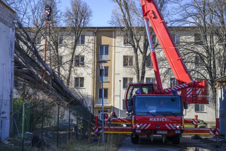 Objektívom: V Bratislave spadol na budovu strom