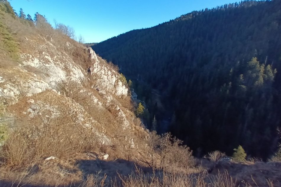 Poniklec na južných svahoch Ihríka