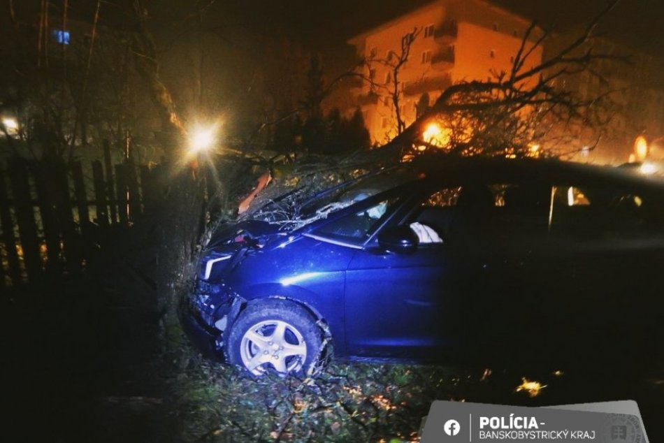 V OBRAZOCH: Opitý muž s autom prerazil plot a skončil v strome