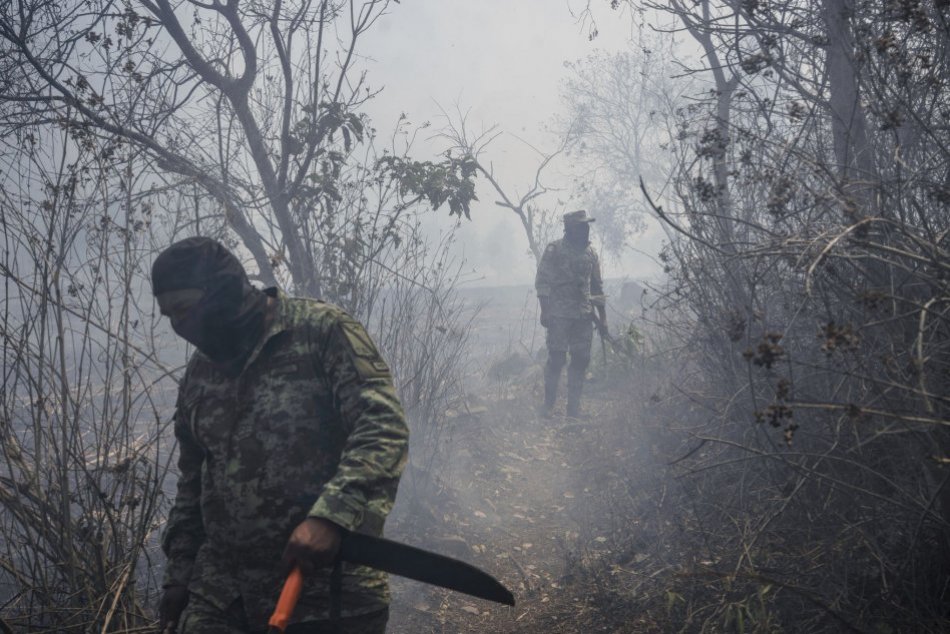 Požiare lesov v Mexiku