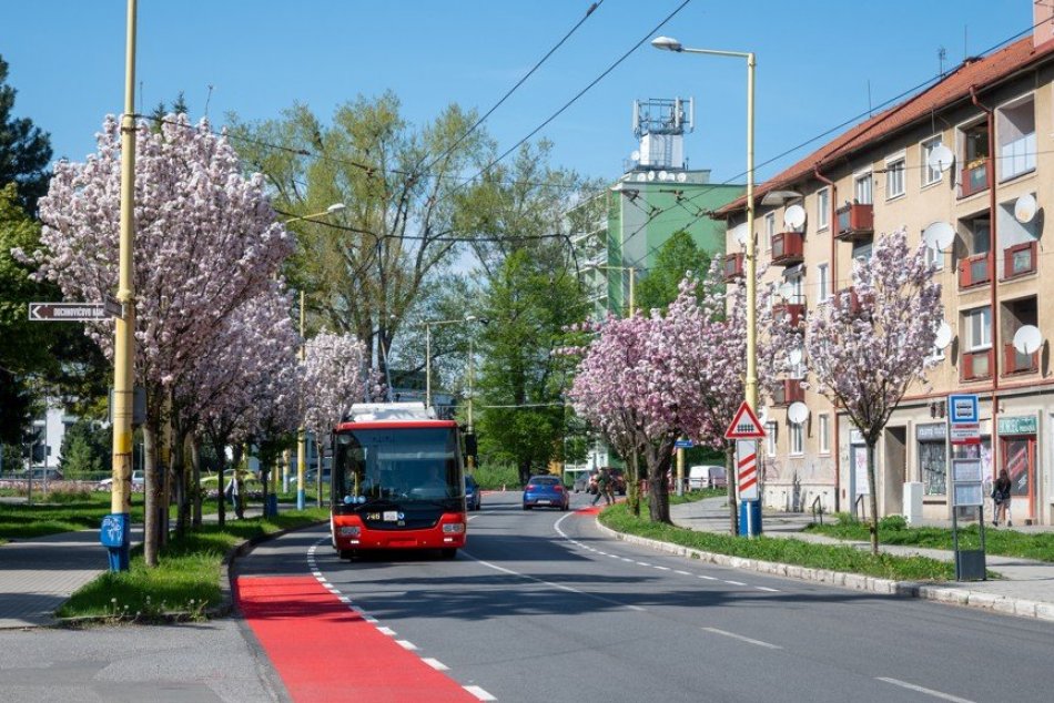 Rozkvitnutý Prešov 2024
