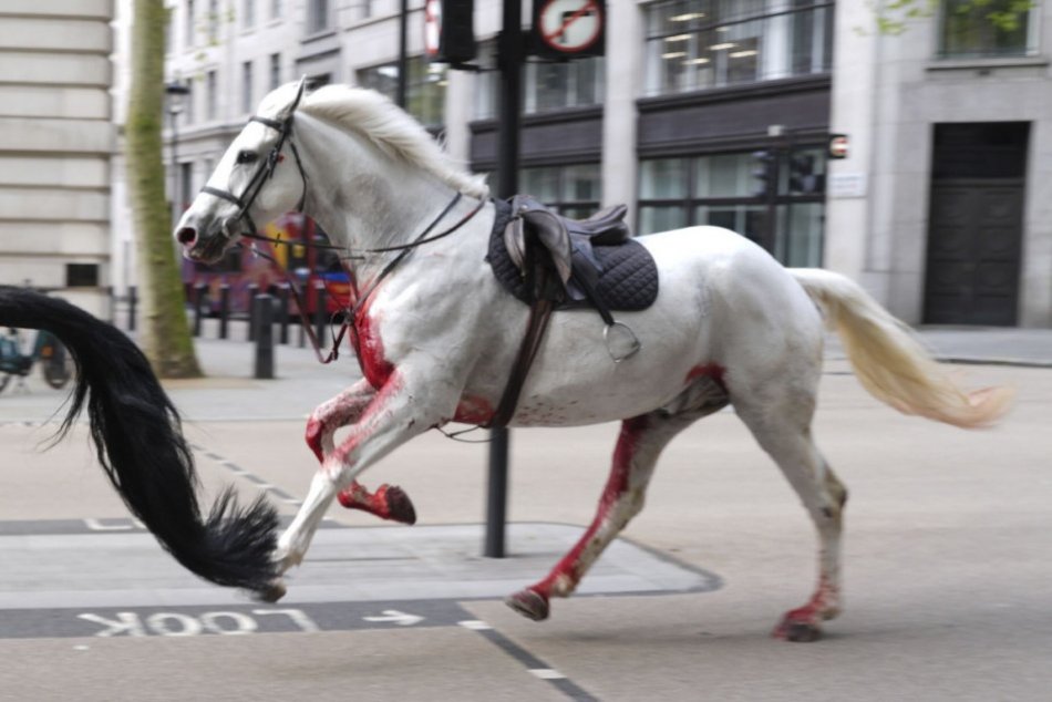 Centrom Londýna sa preháňali splašené kone