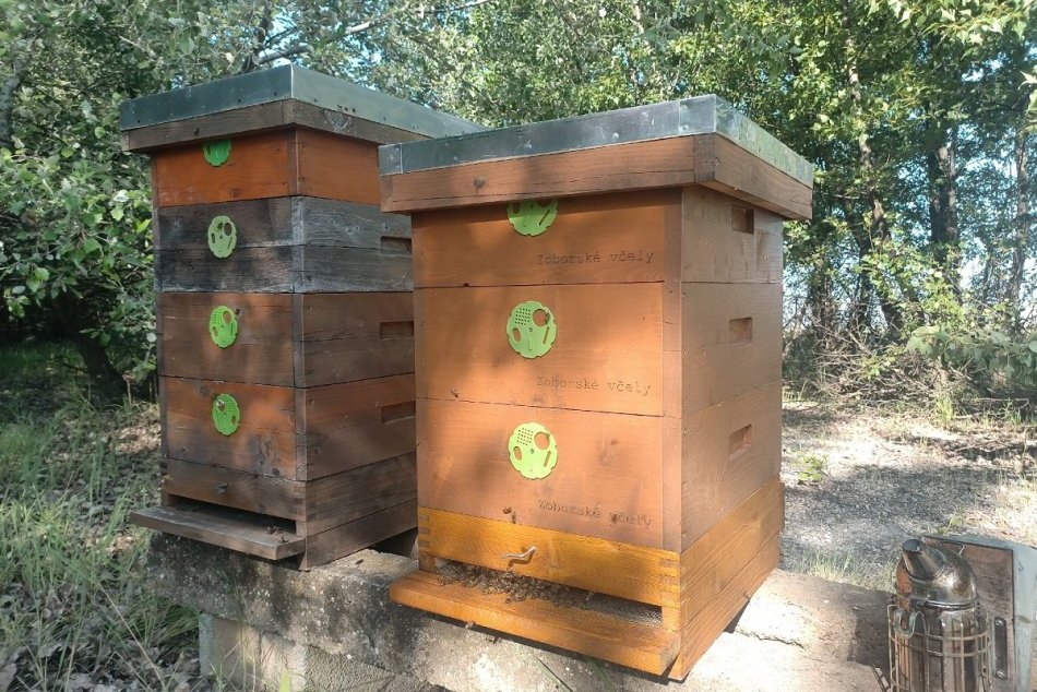 Nitrianske včelstvá sa rozrastajú: V meste pribudli nové úle