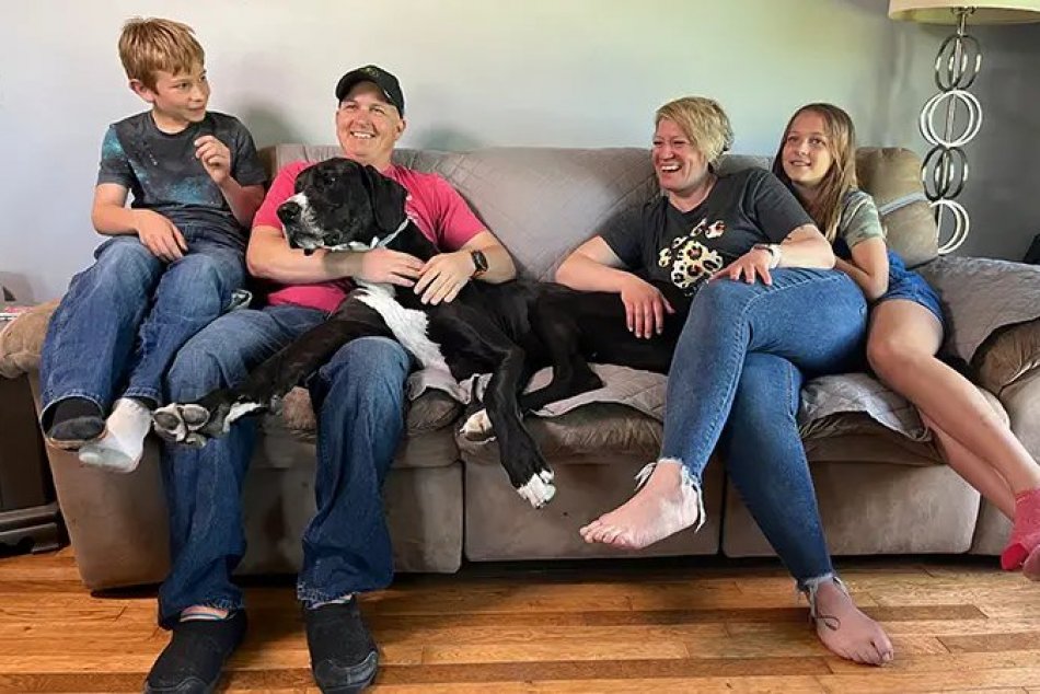 Kevin - najvyšší pes na svete