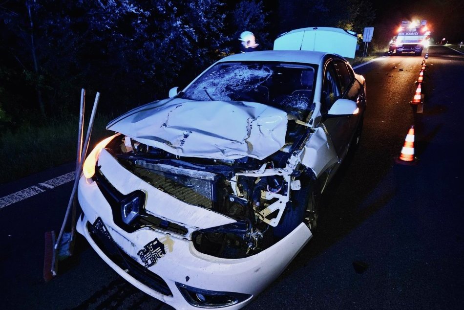 IN PICTURES: Rescuers survived a terrifying collision with a deer