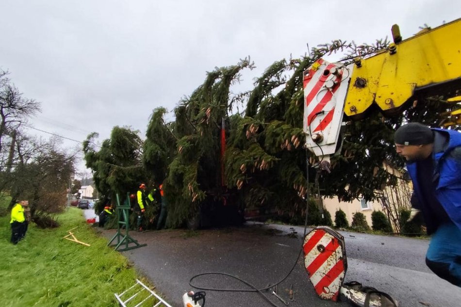 V OBRAZOCH: Cesta vianočného stromčeka na Námestie SNP