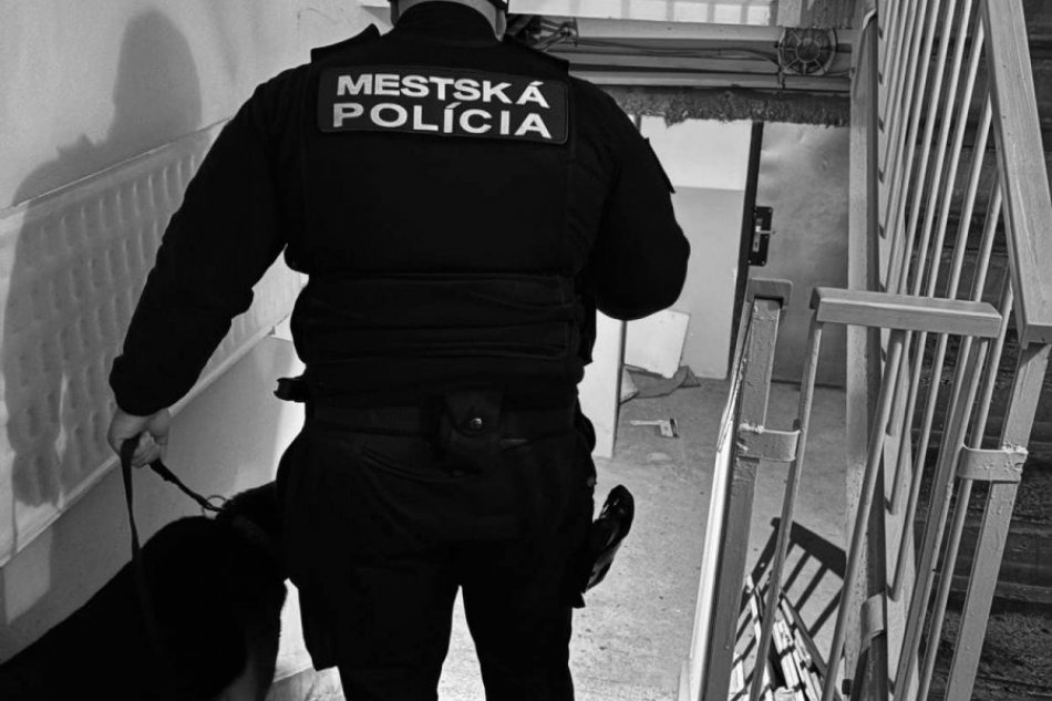 Mestskí policajti v Nitre majú aktivitu Vchody