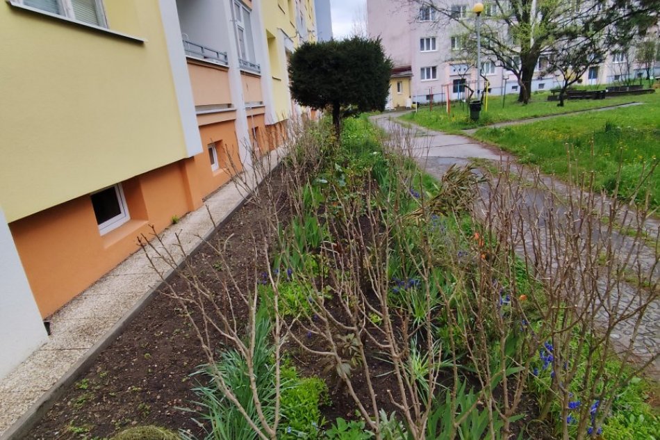 V OBRAZOCH: Predzáhradky Banskobystričanov