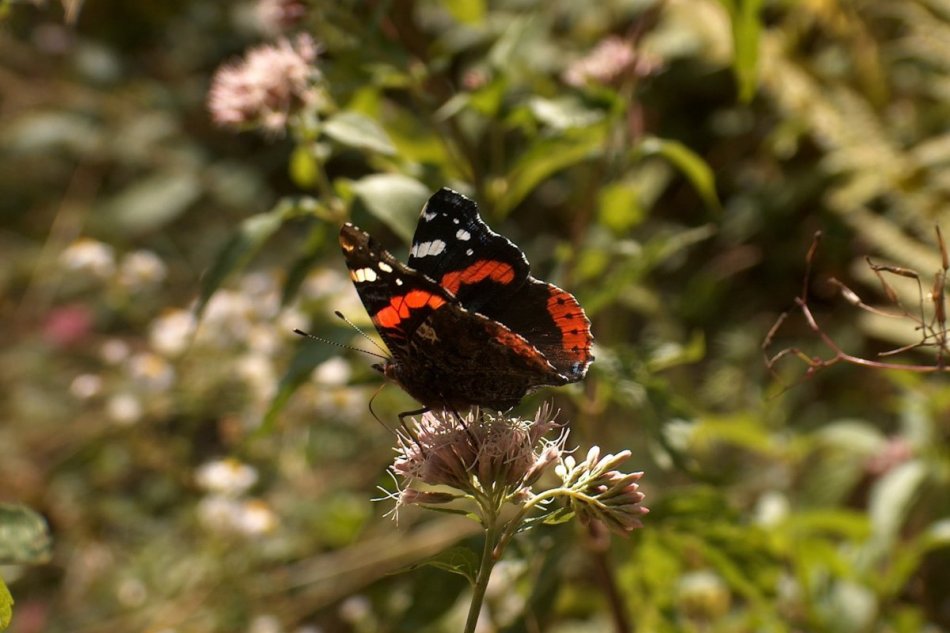 Výlet do Kanaša pri Prešove môže vyzerať aj takto