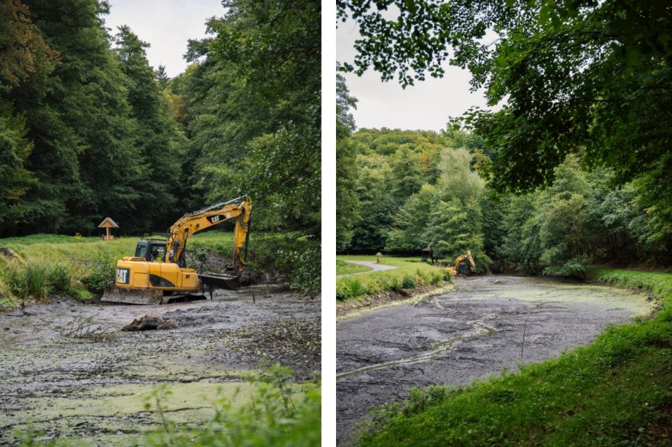 Začali čistiť jazierko Sŕnie