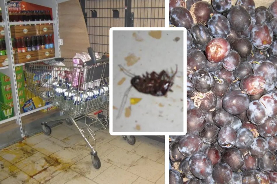 Augustové kontroly potravín