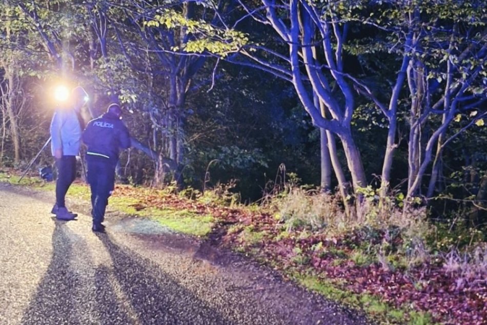 V OBRAZOCH: Auto sa zrútilo strmým zrázom, následky sú tragické