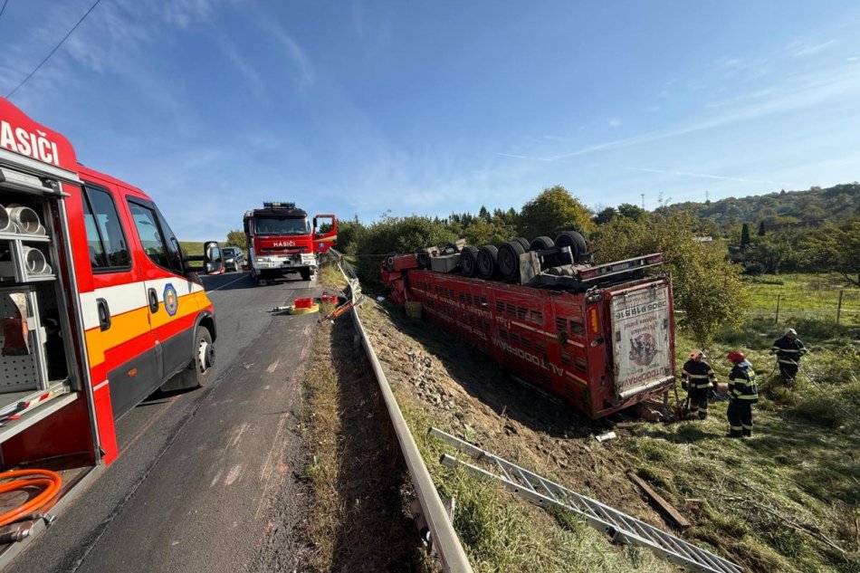 V OBRAZOCH: Prevrátený kamión prevážal ošípané