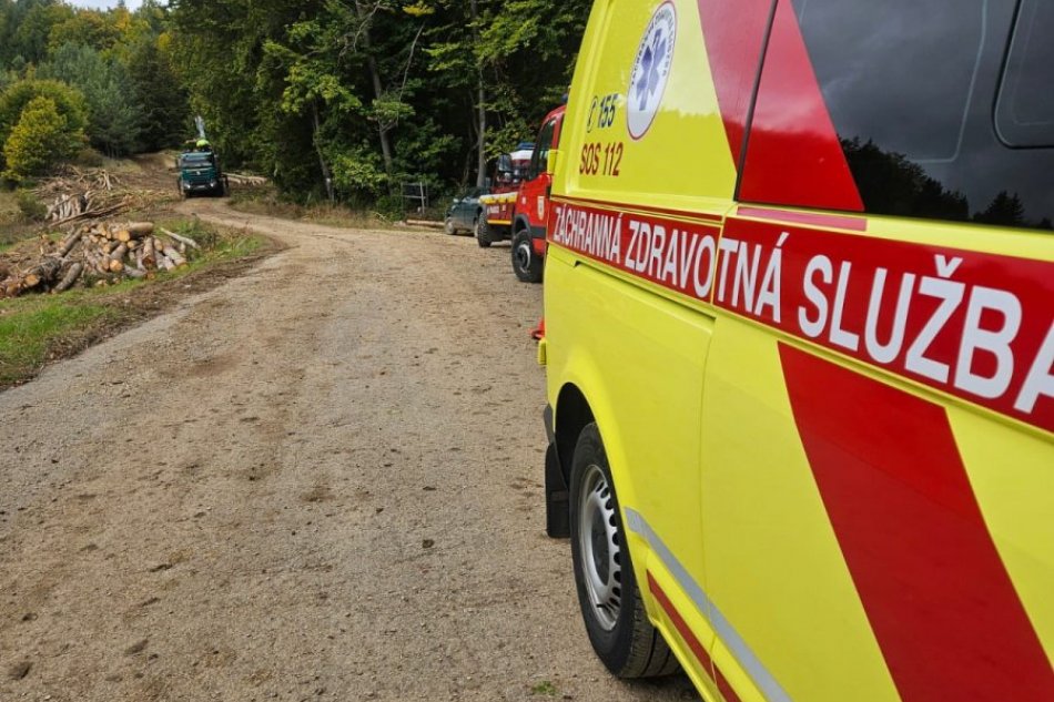 V OBRAZOCH: Muža pri rezaní stromu zasiahol padajúci konár