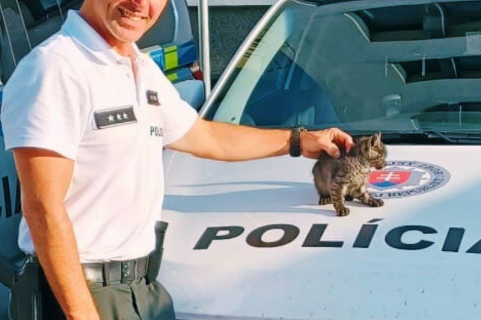 V OBRAZOCH: Malá mačička si našla domov vďaka policajtom