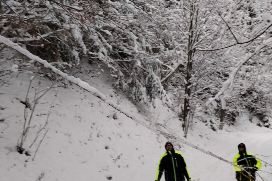 V OBRAZOCH: Prvá úprava bežkárskych tratí na Šachtičkách