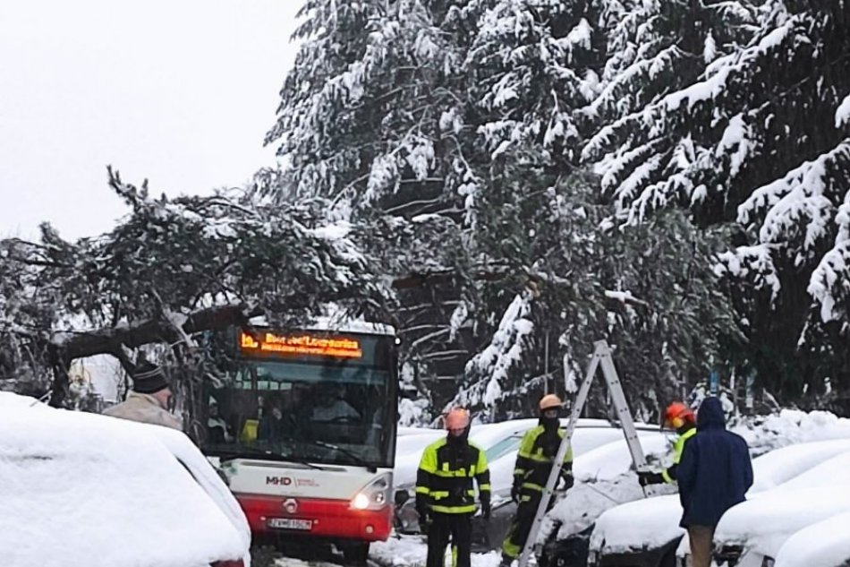 V OBRAZOCH: Po Banskej Bystrici sa pod ťarchou snehu lámu stromy
