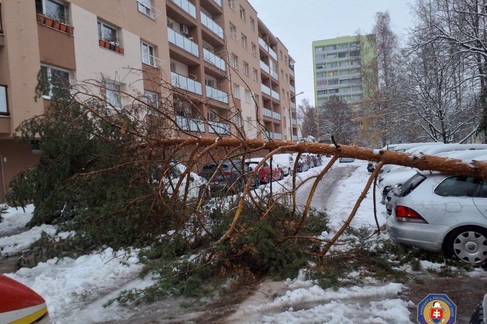 V OBRAZOCH: Snehová kalamita v Banskobystrickom kraji