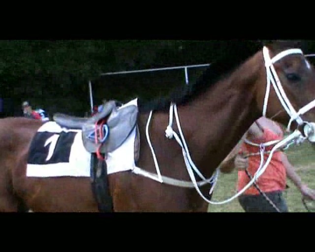 Utekal ako zmyslov zbavený