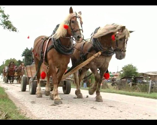 Ako na divokom západe