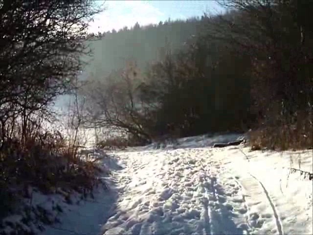 V blízkosti Bystrice vyrástli čierne skládky pneumatík