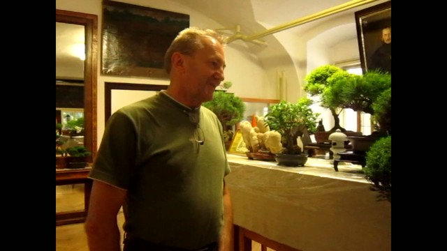 Pastva pre oči: Ďalší ročník výstavy bonsajov