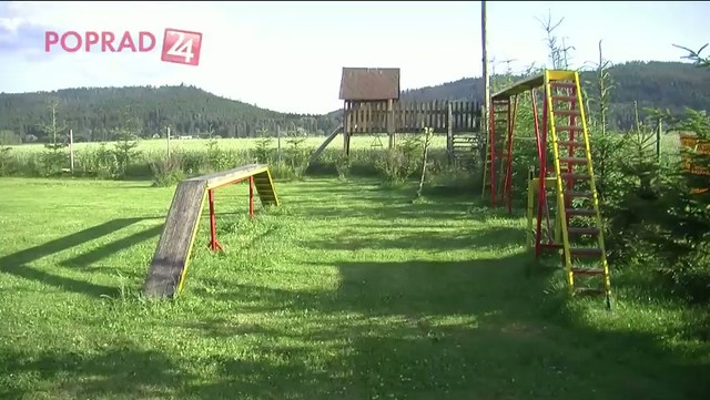 Odmena pre zodpovedných psíčkarov: Budú platiť menej?