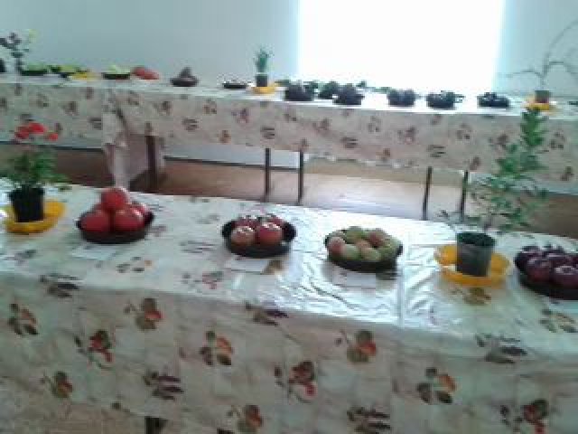 Výstava ovocia a zeleniny v Zlatých Moravciach zívala prázdnotou